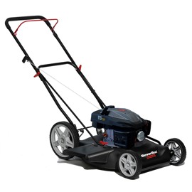 Cortadora De Césped Combustión Gsa22 F650 Professio...