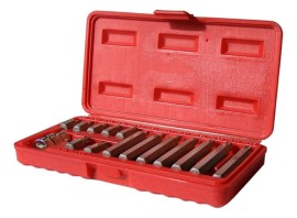 Juego 15 Puntas TorxMultiestria T20at55 9941386