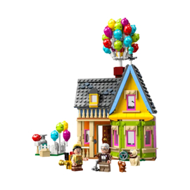 Casa De “Up” 43217