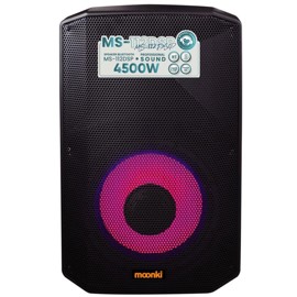 Parlante Profesional  Ms112Dsp