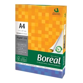 Resmas A4 21X29.7 75Grs Caja X 10 Resmas