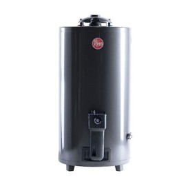 Termotanque  Tgnp080rh De Pie  80Lts C Sup Gn Aee
