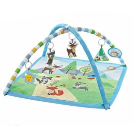 Gimnasio Actividades 5010 Animales Celeste