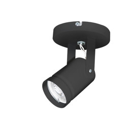 Aplique Techo Cily Eco 1 Luz Negro