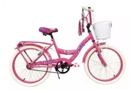 Bicicleta Rodado 20 Nena Con Canasto Y Timbre Color...