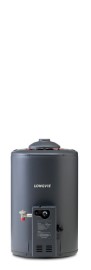 Termotanque A Gas Potenciado Dual 48 Lts Tp350arN