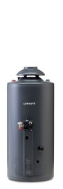 Termotanque Potenciado Dual 56 Litros Tp860arN