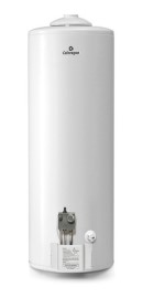 Termotanque A Gas 110 Litros Ca110