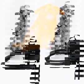 Secador De Pelo Profesional Para Perros  Pd2000 2000...