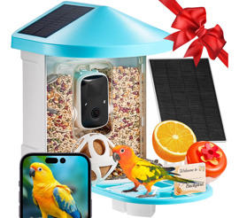 Comedero Para Pájaros Con Cámara Solar 2K