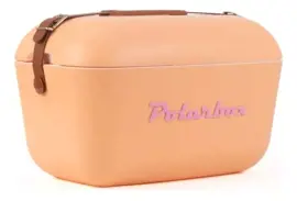 Conservadora Heladera Retro Naranja Y Marrón 20 L