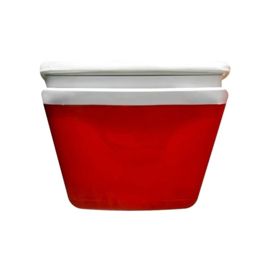 Conservadora Outdoors 34Lts Rojo