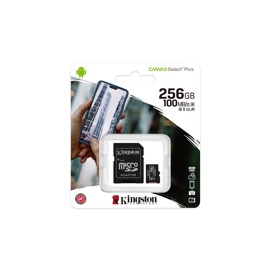 Micro Sd 256Gb C10 Canvas Select Plus